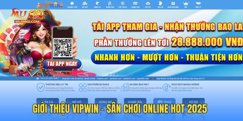 Khám phá Vipwin - Nền tảng cược hot bậc nhất